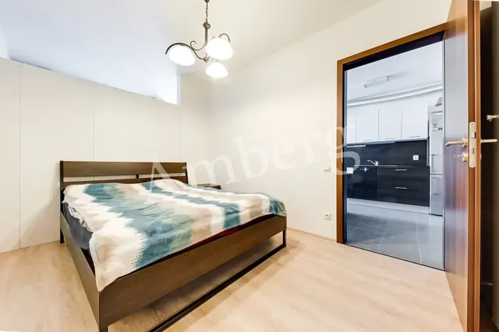 Prodej bytu 2+kk, Praha - Žižkov, Na Vackově, 53 m2