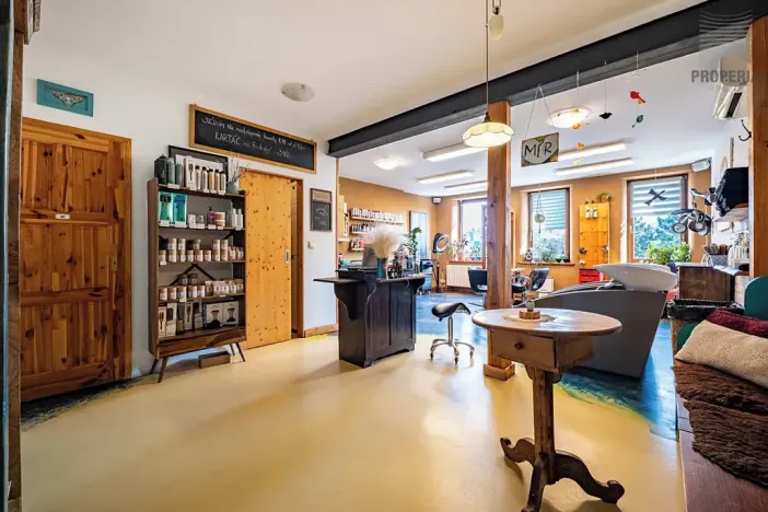 Prodej vícegeneračního domu, Brno, Otakara Ševčíka, 190 m2