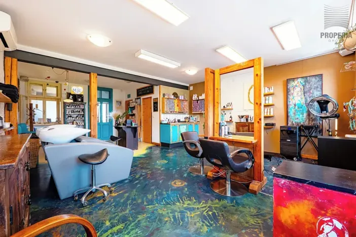 Prodej vícegeneračního domu, Brno, Otakara Ševčíka, 190 m2