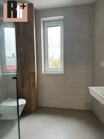 Prodej bytu 1+1, Ostrava, Opavská, 46 m2