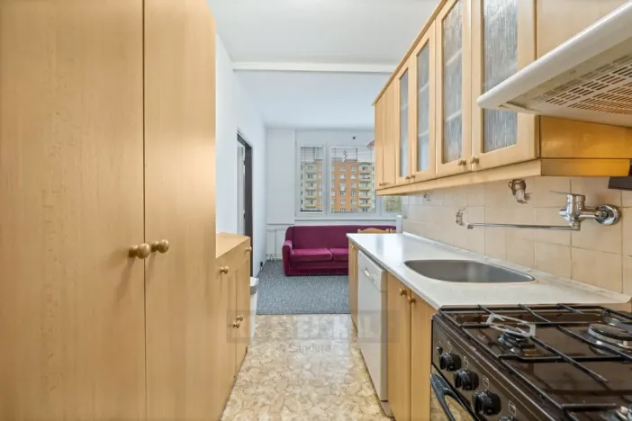 Prodej bytu 3+1, České Budějovice - České Budějovice 3, J. Plachty, 64 m2