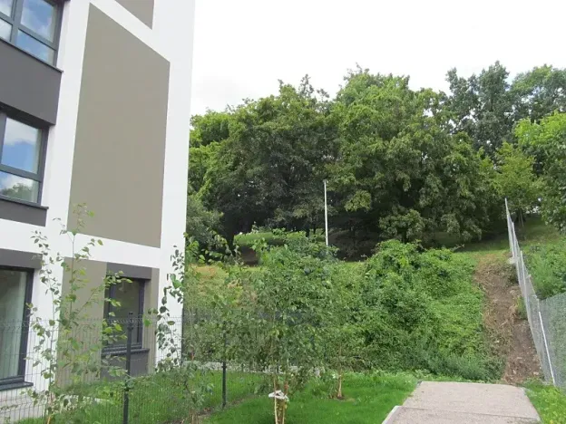 Prodej bytu 3+kk, Praha - Žižkov, Olgy Havlové, 71 m2