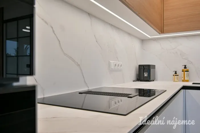 Pronájem bytu 3+kk, Brno, třída Generála Píky, 91 m2