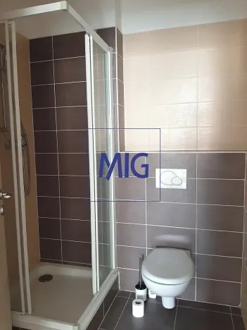 Pronájem bytu 1+kk, Brno, Kovařovicova, 23 m2