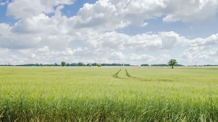 Prodej pozemku pro bydlení, Olbramov, 2128 m2