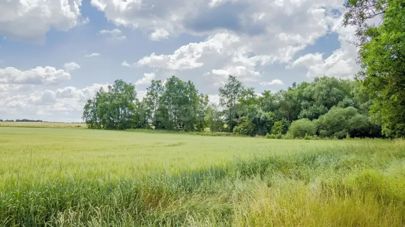 Prodej pozemku pro bydlení, Olbramov, 2128 m2