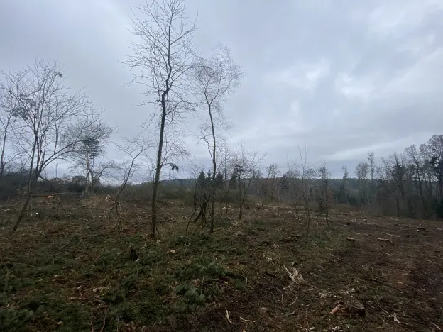 Prodej lesa, Blížejov - Lštění, 7793 m2