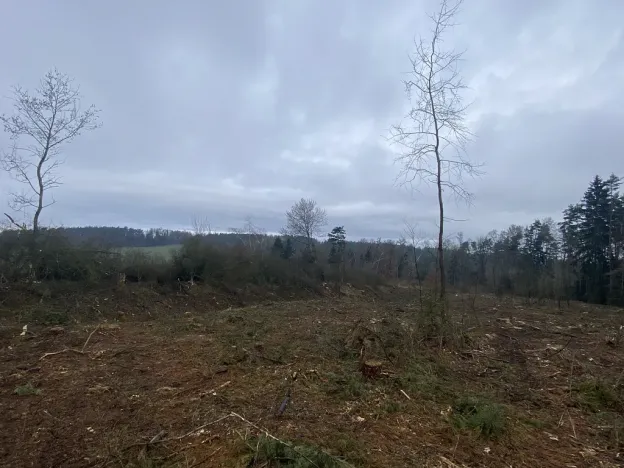 Prodej lesa, Blížejov - Lštění, 7793 m2