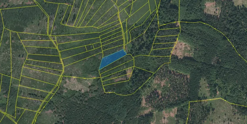 Prodej lesa, Kolinec - Buršice, 3423 m2