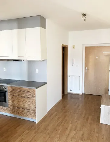 Pronájem bytu 1+kk, Praha - Žižkov, Prokopova, 46 m2