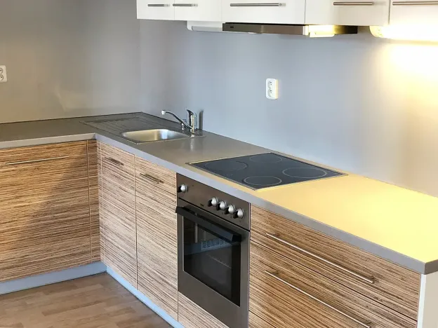 Pronájem bytu 1+kk, Praha - Žižkov, Prokopova, 46 m2