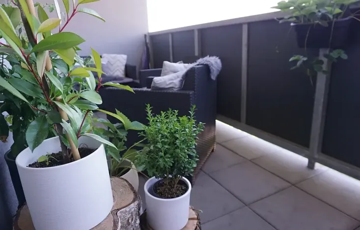 Pronájem bytu 2+kk, Plzeň, Halštatská, 70 m2