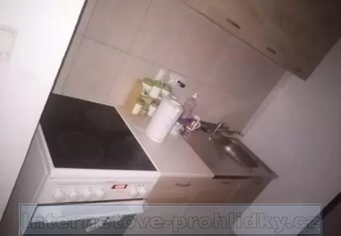 Pronájem bytu 1+1, Děčín, Na Pískách, 30 m2