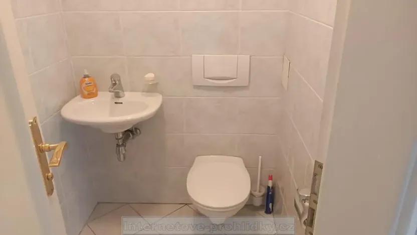 Pronájem bytu 1+kk, Rádlo, 45 m2