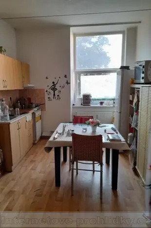 Pronájem pokoje, Brno, Tkalcovská, 20 m2