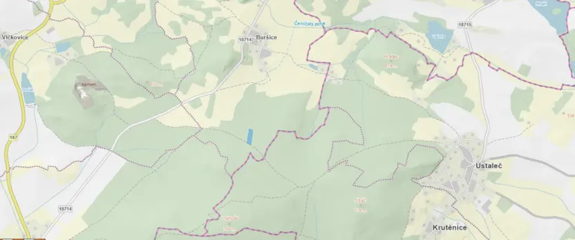 Prodej lesa, Kolinec - Buršice, 5195 m2