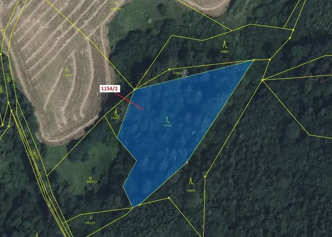 Dražba lesa, Letohrad, 3699 m2