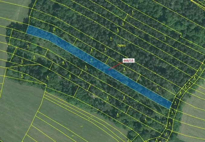 Dražba lesa, Milavče, 4689 m2