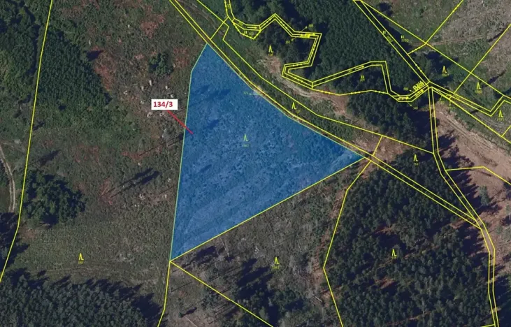 Dražba lesa, Žižkovo Pole, 8330 m2