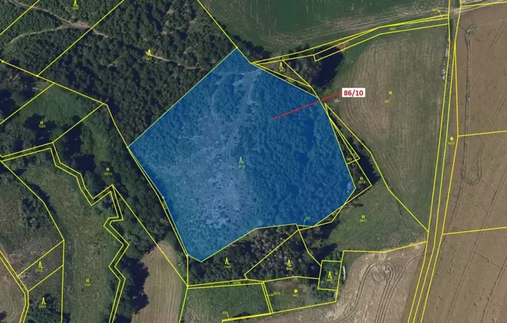 Dražba lesa, Žižkovo Pole, 12727 m2