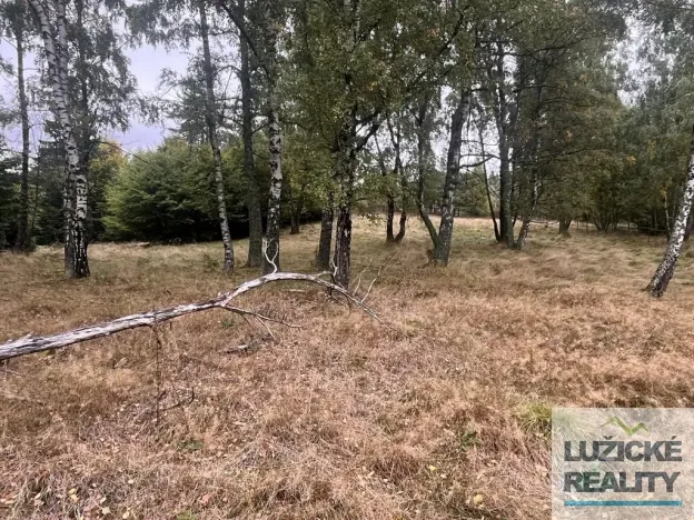 Prodej louky, Kytlice, 4475 m2