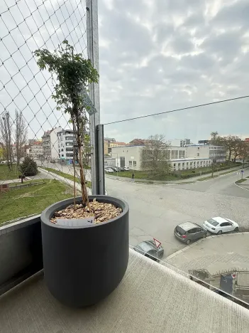 Pronájem bytu 2+kk, Plzeň, Zahradní, 57 m2