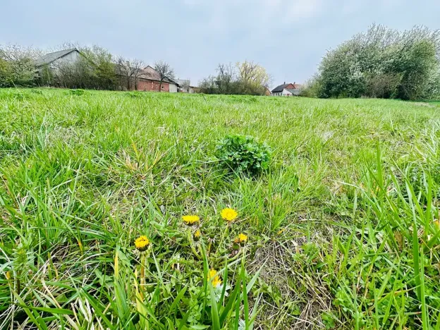 Prodej pozemku pro bydlení, Dlouhá Lhota, 3560 m2