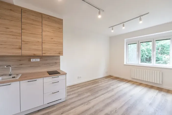 Pronájem bytu 1+kk, Praha - Michle, Hanusova, 28 m2