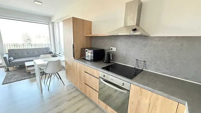 Pronájem bytu 1+kk, Pardubice, Pod Vinicí, 36 m2