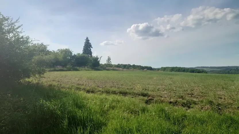 Prodej pozemku pro bydlení, Rokycany, Tymákovská, 12831 m2