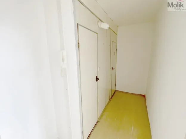 Prodej bytu 3+1, Bílina - Pražské Předměstí, Aléská, 64 m2