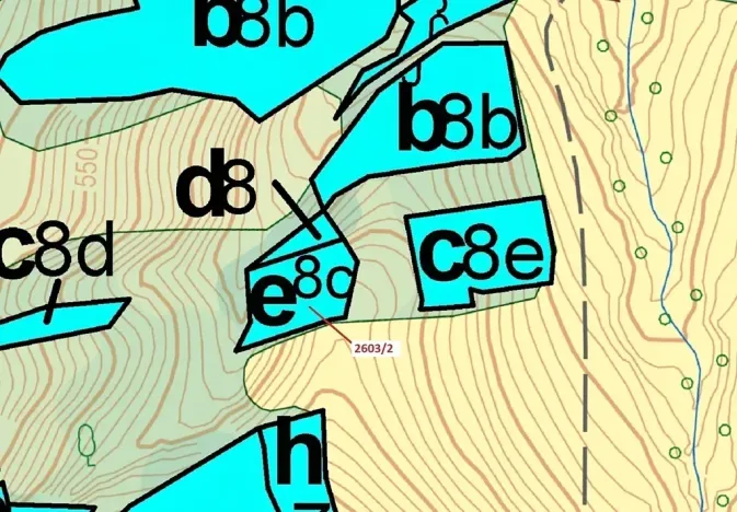 Dražba lesa, Zděchov, 1036 m2