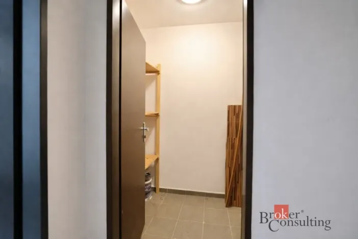 Pronájem bytu 3+kk, Plzeň - Bolevec, U Velkého rybníka, 66 m2