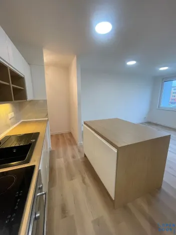 Prodej bytu 2+kk, Bílina, Litoměřická, 41 m2