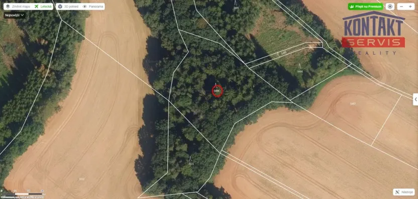 Prodej lesa, Rychnov na Moravě, 5546 m2