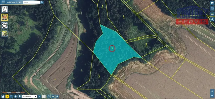 Prodej lesa, Rychnov na Moravě, 5546 m2