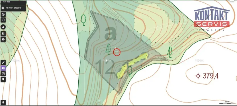 Prodej lesa, Rychnov na Moravě, 5546 m2