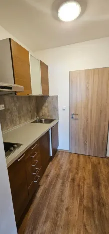Prodej bytu 1+kk, Brno - Husovice, Dačického, 23 m2