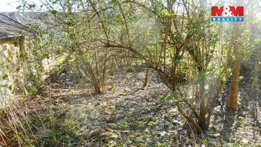 Prodej zahrady, Úštěk - Kalovice, 725 m2