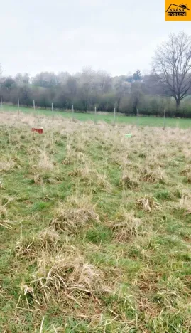Prodej louky, Polom, 3371 m2