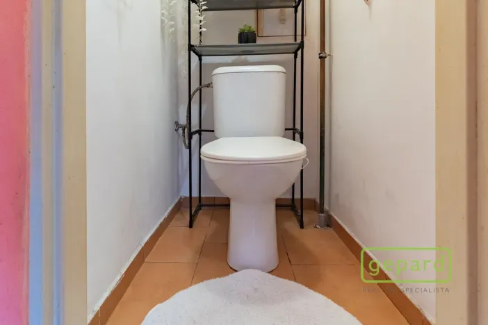 Prodej bytu 2+1, Ostrov, S. K. Neumanna, 54 m2