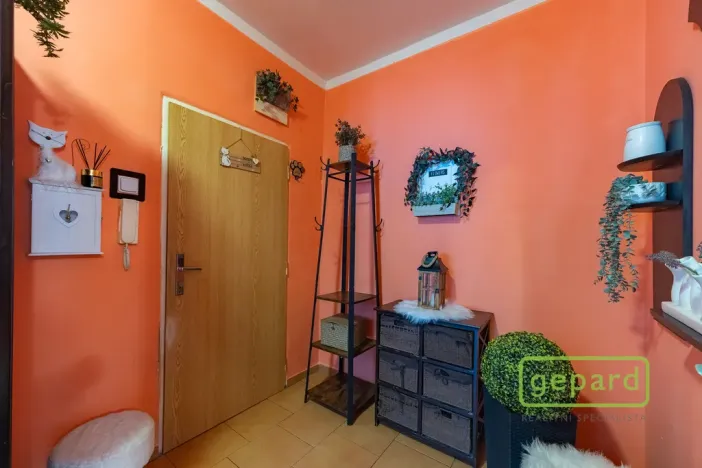 Prodej bytu 2+1, Ostrov, S. K. Neumanna, 54 m2