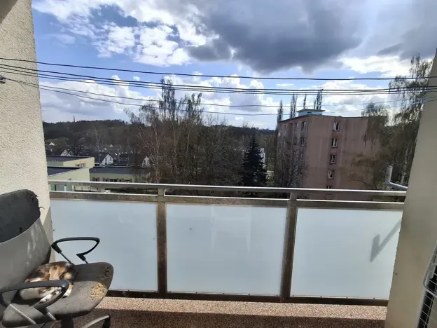 Prodej bytu 3+1, Cheb, Do Zátiší, 59 m2