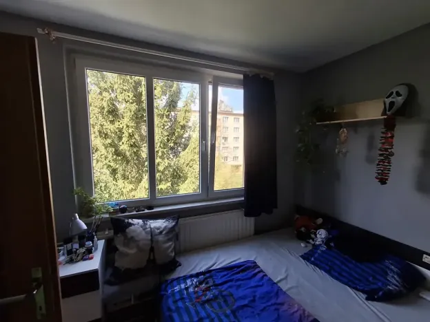 Prodej bytu 3+1, Cheb, Do Zátiší, 59 m2