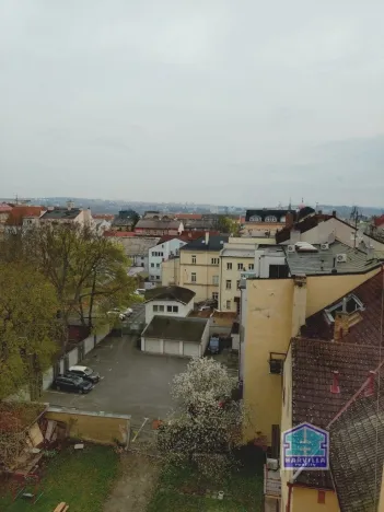 Pronájem bytu 1+kk, Plzeň - Jižní Předměstí, Plachého, 21 m2