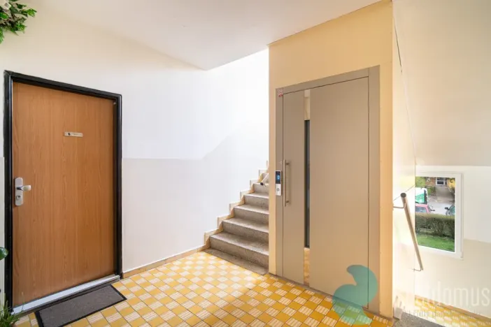 Prodej bytu 1+1, České Budějovice, Větrná, 37 m2