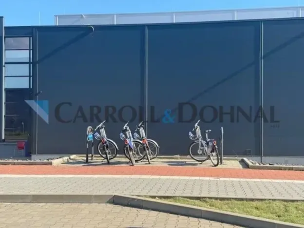 Pronájem skladu, Ostrava - Hrušov, Žižkova, 12400 m2