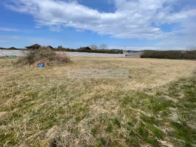 Prodej komerčního pozemku, Plzeň, Novoveská, 2500 m2