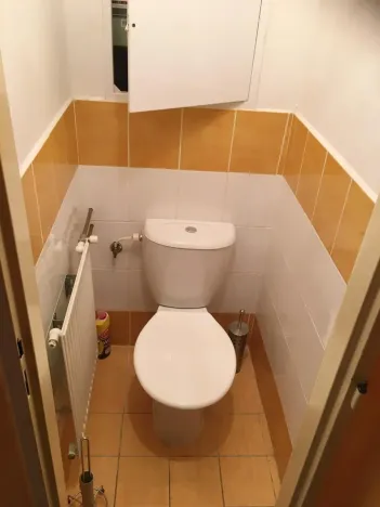 Pronájem bytu 2+1, Duchcov, Jungmannova, 50 m2
