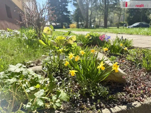 Prodej bytu 3+1, Frenštát pod Radhoštěm, Školská čtvrť, 68 m2